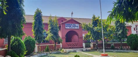 nbklf|Tilda School .
